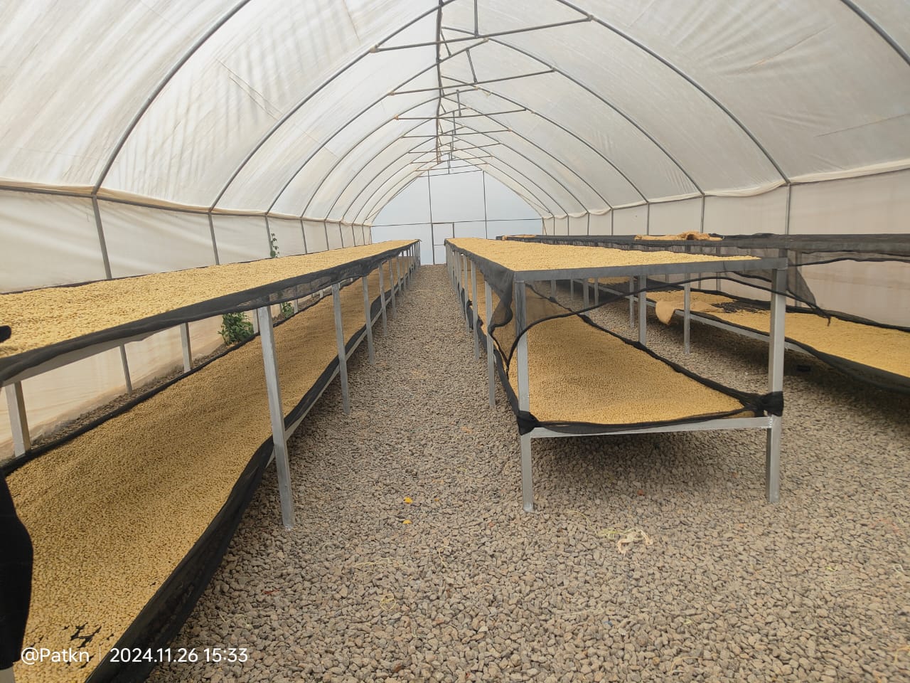 Photos of Solar Coffee Driers